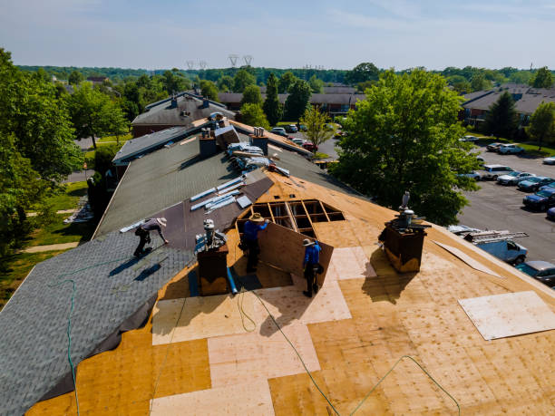 24/7 Emergency Roof Repair experts in Marshallville, GA